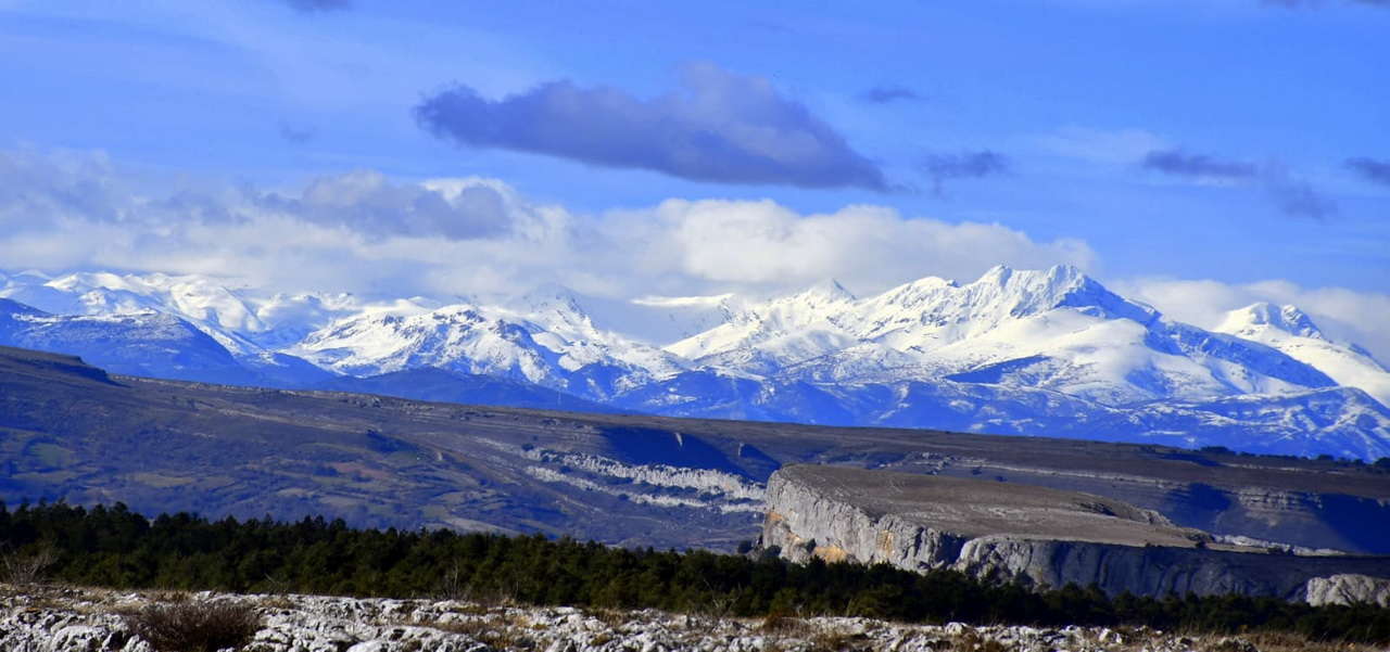 WhatsApp Image 2026-02-09 at 20.29.03 (3)